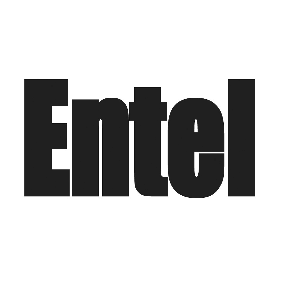 Mikrofon do VHF Entel HT644
